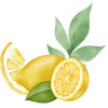 Citron EO